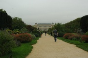8th Oct 2012 - Jardin des Plantes