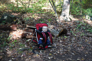 7th Oct 2012 - Stranded in the woods