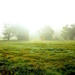 Morning Meadow by filsie65