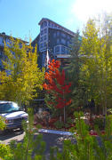 2nd Oct 2012 - Autumn in Park City