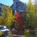 Autumn in Park City by hjbenson