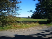 6th Oct 2012 - A walk in the country  
