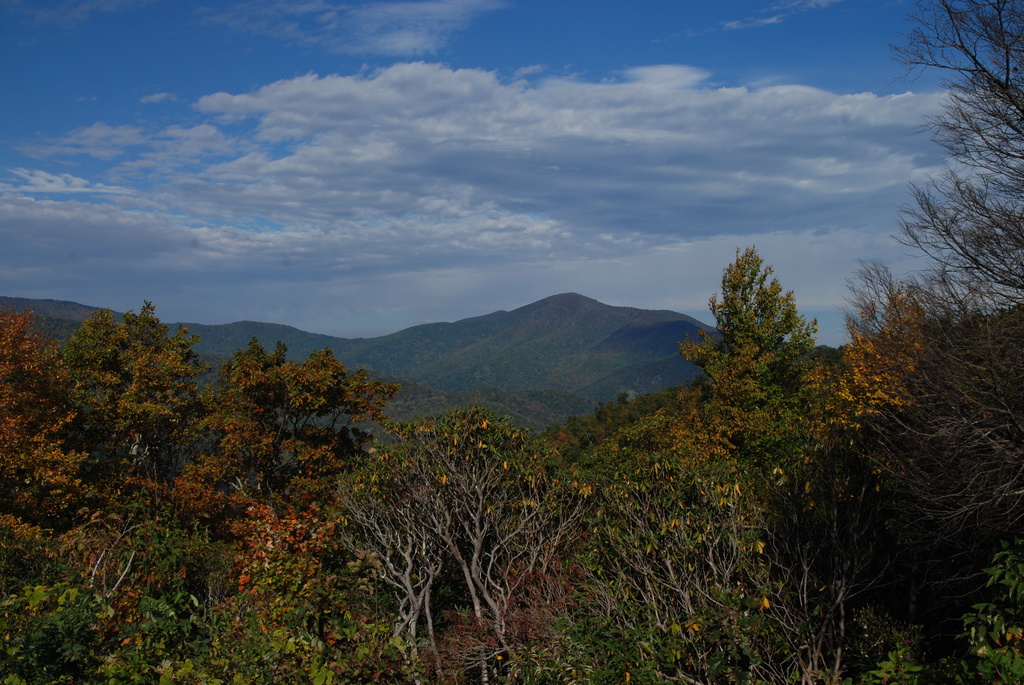 View of Cold Mountain, NC by graceratliff