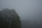 9th Oct 2012 - Somewhere Out There...