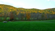 10th Oct 2012 - Welcome to Vermont