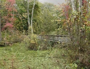 10th Oct 2012 - Audobon Walking Bridge
