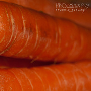 9th Oct 2012 - Carrots