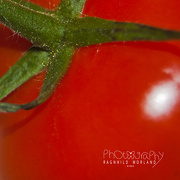 8th Oct 2012 - Tomato