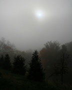 10th Oct 2012 - Fog