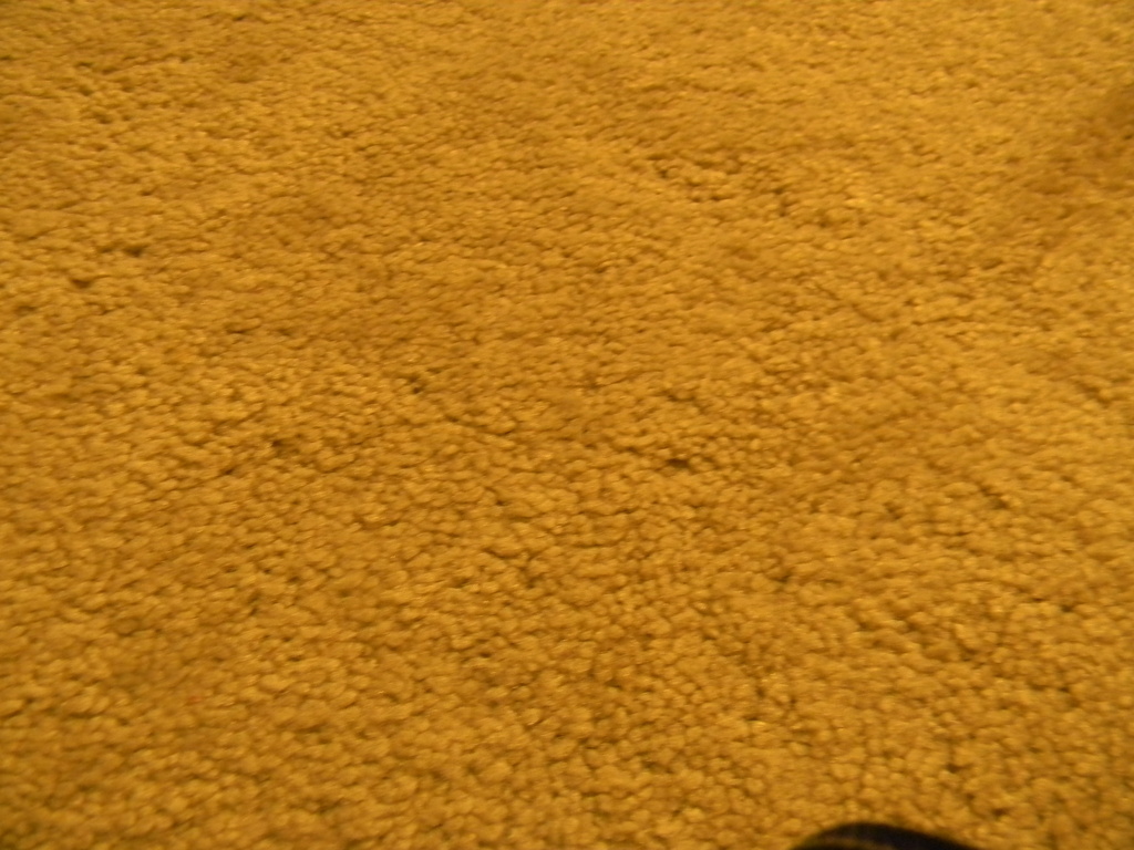 Floor Desert 10.9.12 by sfeldphotos