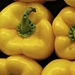 Yellow Peppers - October-Rainbow by madamelucy