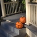 Signs of the season.  Wraggborough neighborhood, Charleston, SC by congaree
