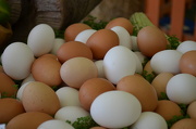 28th Sep 2012 - Farm Fresh Eggs