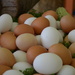 Farm Fresh Eggs by mariaostrowski