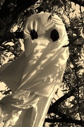 10th Oct 2012 - Ghostree!