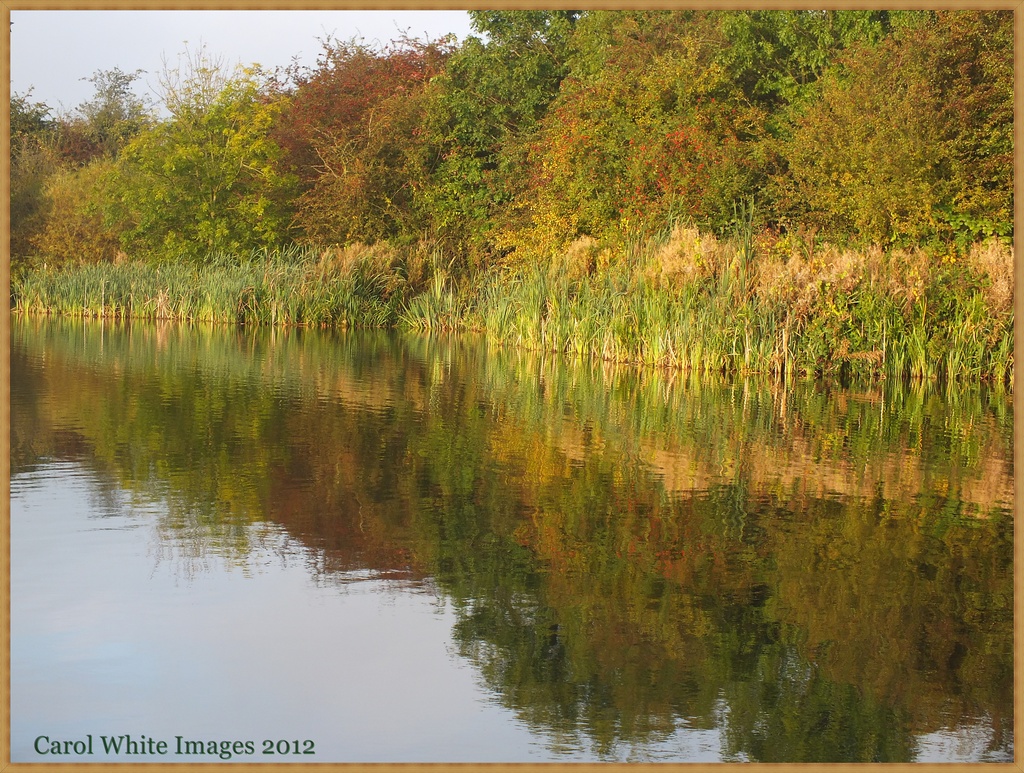 Reflections Of Autumn 2 by carolmw