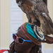 5.10.12 I have an Eagle on my head by stoat