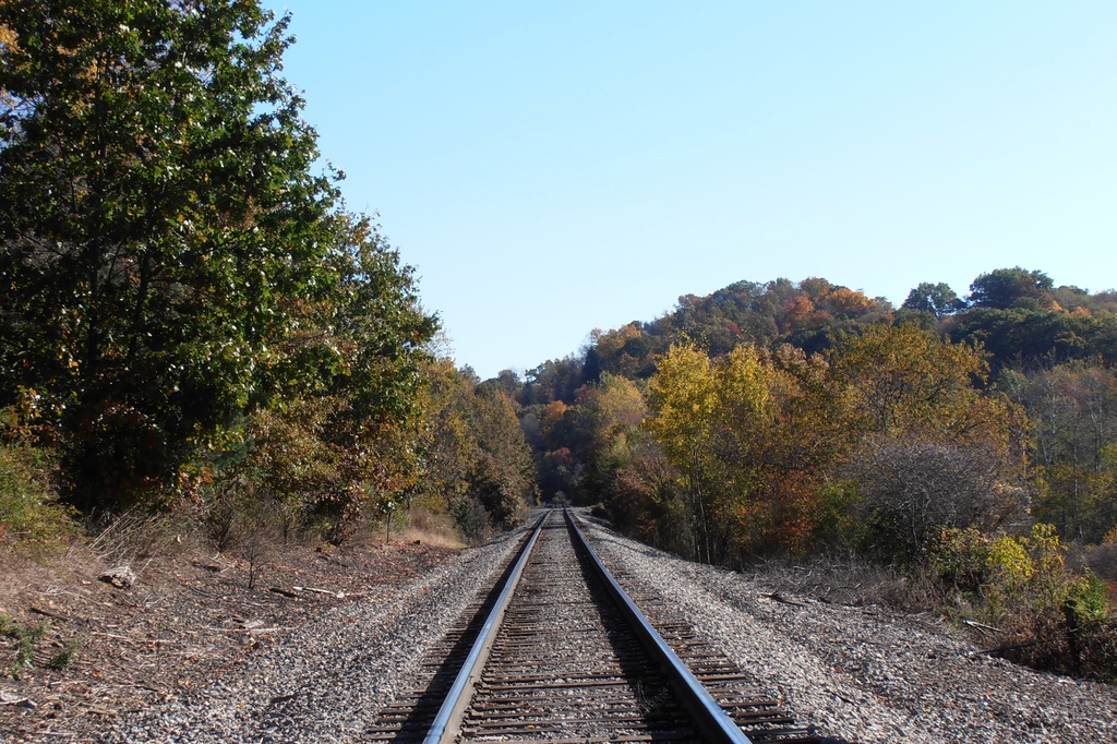 Train Tracks by julie