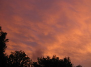 12th Oct 2012 - Apricot Skies