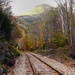 Railroad Tracks Through Autumn by jgpittenger