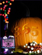 12th Oct 2012 - Poison Bokeh