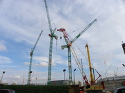 9th Oct 2012 - Cranes