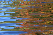 11th Oct 2012 - Pond Reflections