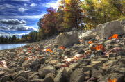 12th Oct 2012 - Autumn On The Rocks