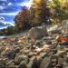 Autumn On The Rocks by skipt07