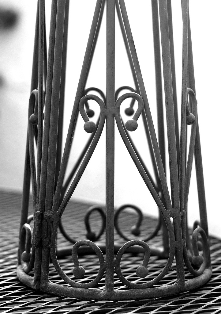 (Day 242) - Delicate Iron by cjphoto