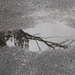 An interesting puddle! by marguerita