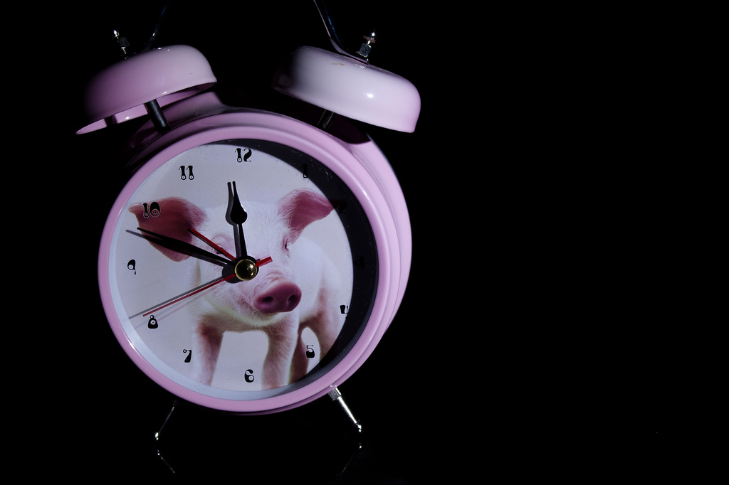 Piggy alarm clock by kiwichick