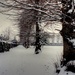 Snowy avenue by boxplayer