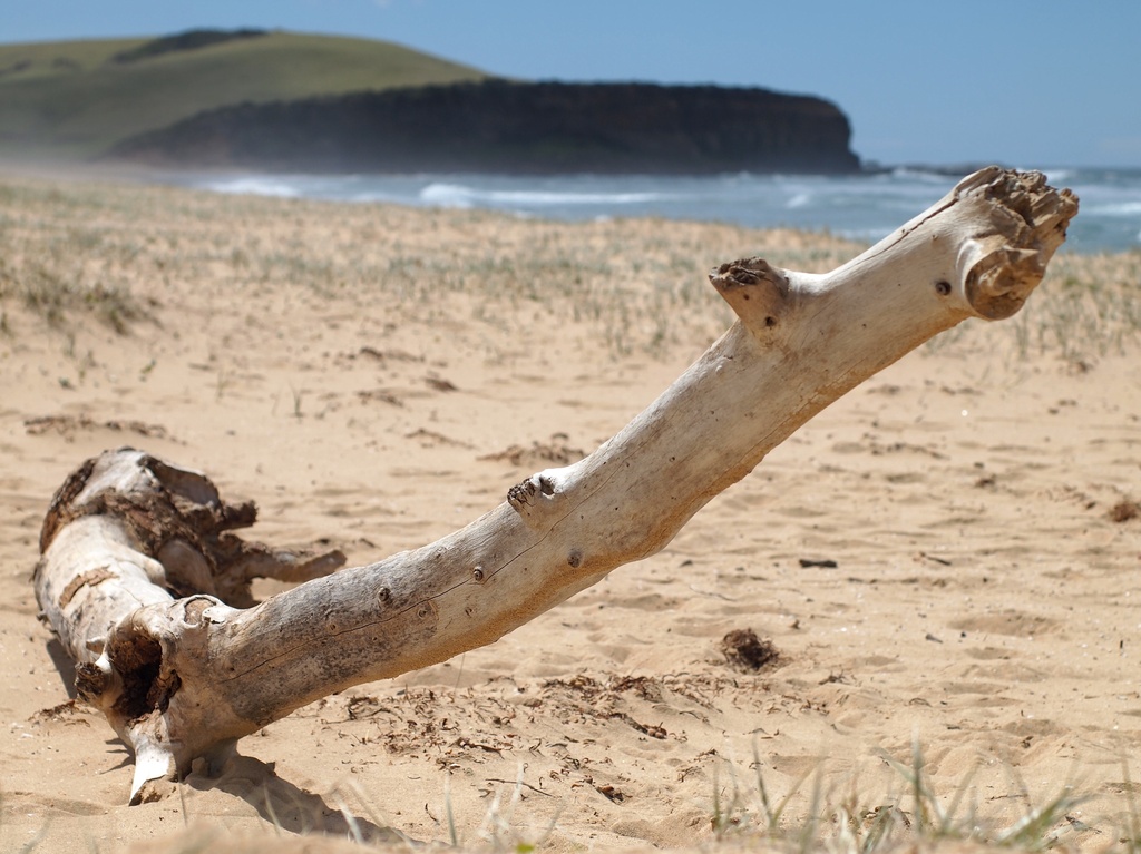 Werri Beach by peterdegraaff