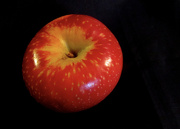 13th Oct 2012 - Apple