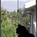 Window Kitty by pasadenarose