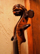 14th Feb 2012 - Frankie's fiddle