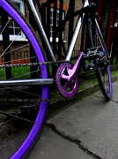 16th Feb 2012 - Purple bike