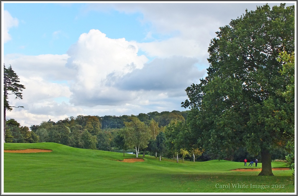 View Across The Golf Course by carolmw