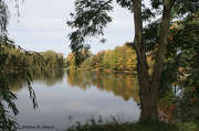 14th Oct 2012 - Autumn Reflections