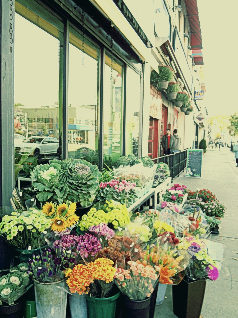 flower shop on the Danforth by edie