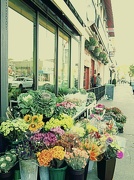 11th Oct 2012 - flower shop on the Danforth