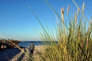 13th Oct 2012 - The Beach