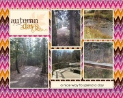 14th Oct 2012 - Nature Reserve Collage