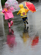 14th Oct 2012 - Running in the Rain!