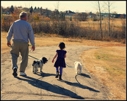 14th Oct 2012 - Dog Walk