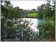 15th Oct 2012 - Across The Lake