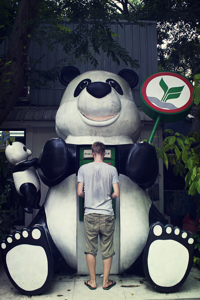 Panda Service by lily