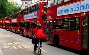 15th Oct 2012 - Line of buses