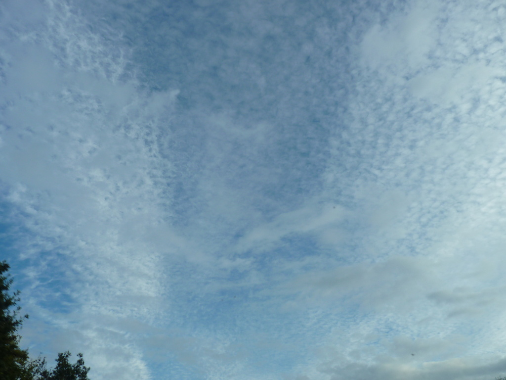 Blue sky after rain by lellie